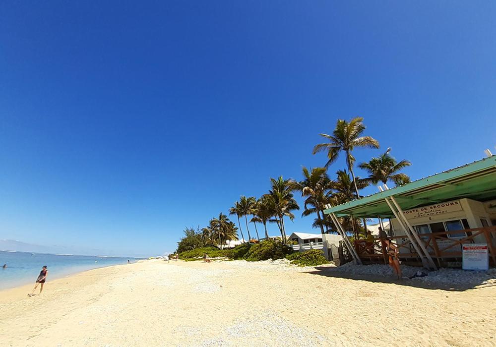 Exceptionnel ! Le Kazuarina, Tres Bel Apt F3 A 50M De La Plage De La Saline Le Bains Ngoại thất bức ảnh