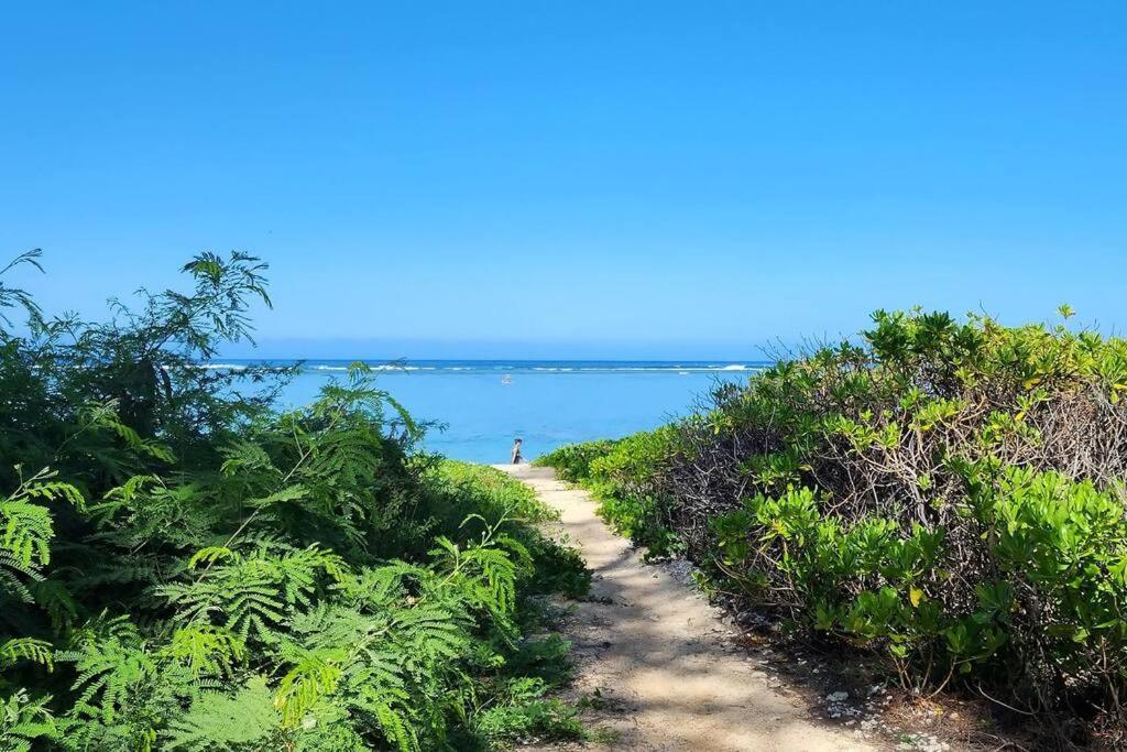 Exceptionnel ! Le Kazuarina, Tres Bel Apt F3 A 50M De La Plage De La Saline Le Bains Ngoại thất bức ảnh